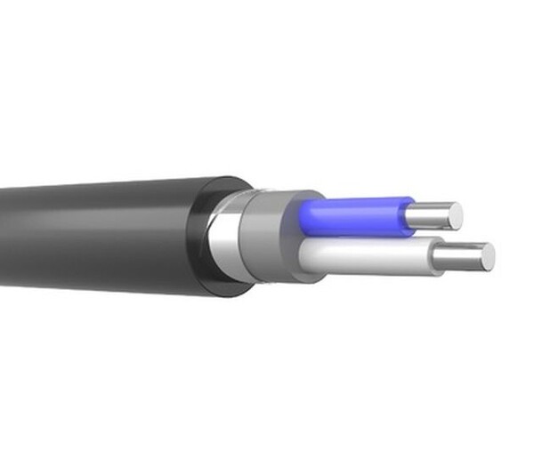 АПВБбШв 2х400